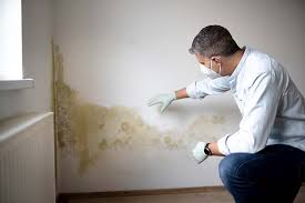 Best Mold Prevention Services  in Aviston, IL